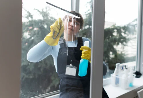 Nettoyage de vitres intérieures et extérieures à Bannay